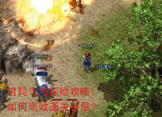 ��������̽�չ��ԣ���θ�Чͨ�ظ��㣿