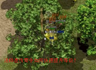 ��ʦ�ڴ�������ο��������ȼ���