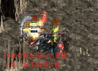 ��Ѫ�������Ϊ��Ҫ��С�ţ����ֱؿ�����