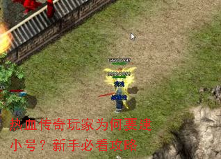 ��Ѫ�������Ϊ��Ҫ��С�ţ����ֱؿ�����