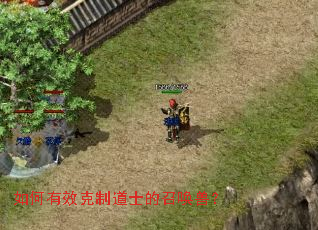 如何有效克制道士的召唤兽? 如何有效克制道士的召唤兽?