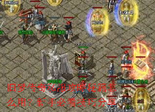 旧梦传奇私服攻略秘籍怎么用?新手必看技巧分享 旧梦传奇私服攻略秘籍怎么用?新手必看技巧分享