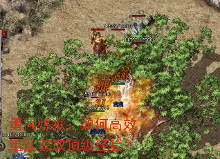 �´���������θ�Ч��ӻ�ȡ�������飿