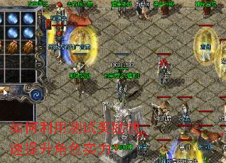 ������ò��Խ�������������ɫʵ����