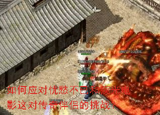 ���Ӧ���ǳ�Ѻͼ����Ӱ��Դ�����µ���ս��