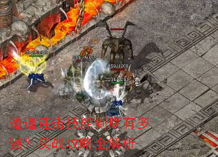 �����������ܵ����ж�ǿ��ʵս����ȫ����