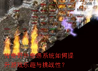 ����Ұ������ϵͳ���������Ϸ��Ȥ����ս�ԣ�