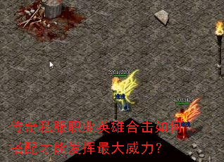 ����˽��ְҵӢ�ۺϻ���δ�����ܷ������������