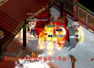 ������ο��������ȼ���װ����