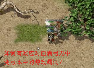 �����ЧӦ��Ѫ�������б�汾�е���Ϸ©����