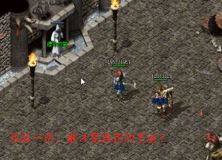 ˫սһƴ��˭�������������ߣ�