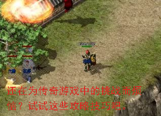 ����Ϊ������Ϸ�е���ս�����գ�������Щ���Լ��ɰɡ�