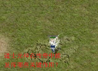 ��ʿԪ���ڴ������ܷ�����Щ�ؼ����ã�