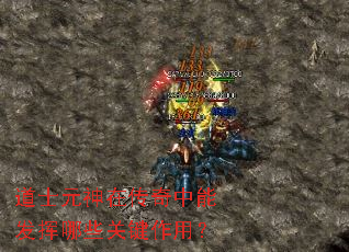 ��ʿԪ���ڴ������ܷ�����Щ�ؼ����ã�