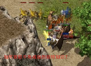 ��λ�ȡţ�ǽ�ָ�Ķ���֪ʶ��