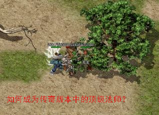 ��γ�Ϊ����汾�еĶ�����ʦ��