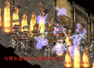 ����˽����ο�������ս����