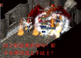 սʿְҵ���ǿ��������ο�������սʿ��