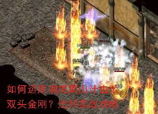 ������õ�����ɽ�ƻ���˫ͷ��գ���ʦʵս����