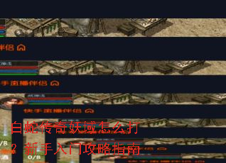 ���ߴ���������ô���������Ź���ָ��