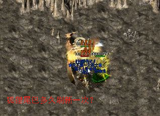 狐狸尾巴多久刷新一次? 狐狸尾巴多久刷新一次?