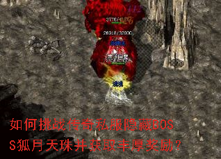 �����ս����˽������BOSS�������鲢��ȡ�������