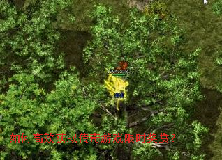 ��θ�Ч��ȡ������Ϸ��ʱ���ͣ�