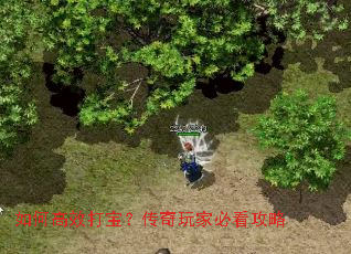 ��θ�Ч�򱦣�������ұؿ�����