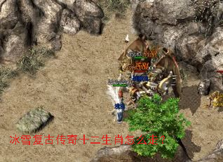 ��ѩ���Ŵ���ʮ����Ф��ô�ߣ�