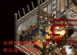 ��ο��ٻ��ʢ����˽���е����飿