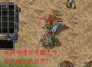 ��ο��ٻ��ʢ����˽���е����飿