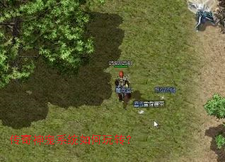 传奇神宠系统如何玩转? 传奇神宠系统如何玩转?