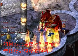 ��γ۳Ҿ����������澺�����ưԹ��Խ���