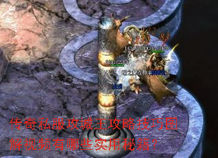 ����˽�����������Լ���ͼ����Ƶ����Щʵ���ؼ���