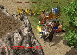 ����Ӣ����ο���������