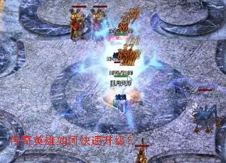 ����Ӣ����ο���������