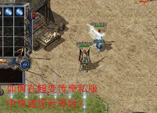 ����ڳ��䴫��˽���п��������ȼ���