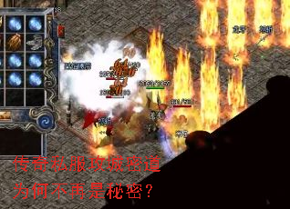 ����˽�������ܵ�Ϊ�β��������ܣ�