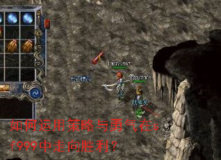 如何运用策略与勇气在sf999中走向胜利? 如何运用策略与勇气在sf999中走向胜利?