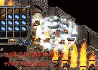 如何运用策略与勇气在sf999中走向胜利? 如何运用策略与勇气在sf999中走向胜利?