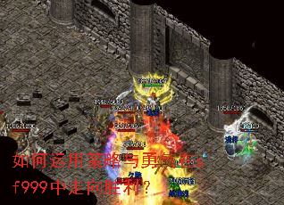 如何运用策略与勇气在sf999中走向胜利? 如何运用策略与勇气在sf999中走向胜利?