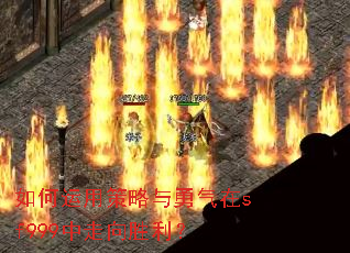 如何运用策略与勇气在sf999中走向胜利? 如何运用策略与勇气在sf999中走向胜利?