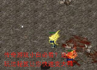 ������ϷС�ױؿ�����Щ�淨����������ٱ����