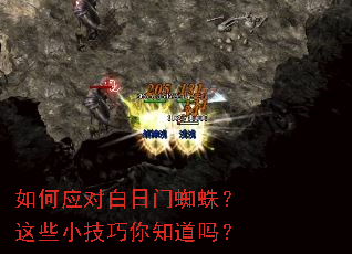 如何应对白日门蜘蛛?这些小技巧你知道吗? 如何应对白日门蜘蛛?这些小技巧你知道吗?