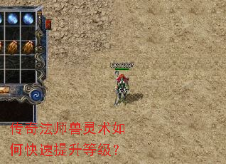 传奇法师兽灵术如何快速提升等级? 传奇法师兽灵术如何快速提升等级?