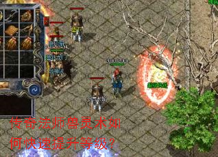 传奇法师兽灵术如何快速提升等级? 传奇法师兽灵术如何快速提升等级?