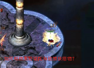 ��ΰ�����Ұ������Ч�������