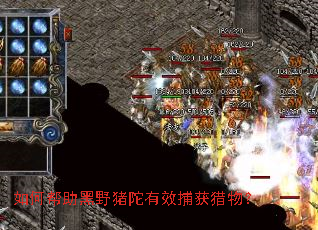 ��ΰ�����Ұ������Ч�������