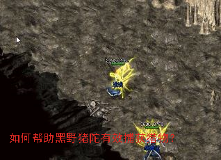 ��ΰ�����Ұ������Ч�������