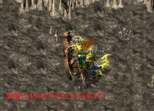 盟重土城如何前往沃玛森林? 盟重土城如何前往沃玛森林?